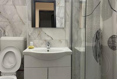Apartament cu 2 camere decomandat în Malu Roșu - 4