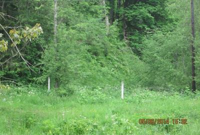 Teren intravilan in Predeal,Valea Rasnoavei - 1
