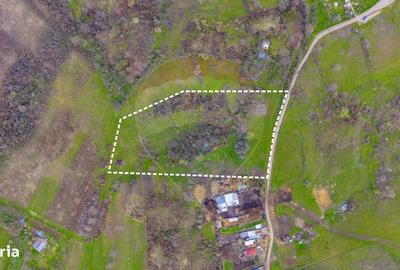 Spațiu comercial, în Valea Orlei - 4