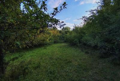 Teren de 2300 mp, în Cuzăplac