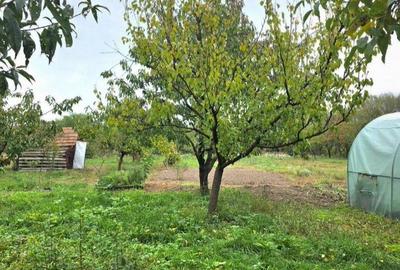 Casă cu Teren 6762 Mp în Copăcel - 5