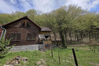 Casă cu 4 camere în Ighiel - 5