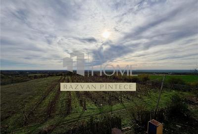 Pensiune 6 camere, teren 12713 mp, Dealul Mare, Urlati, Prah - 15