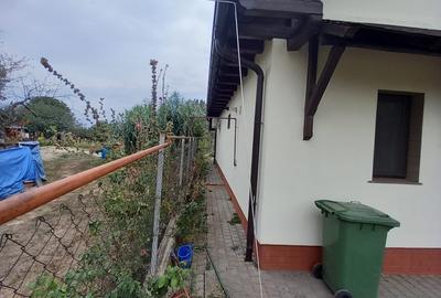 CASA CU TEREN GENEROS IN GRUIU - 4