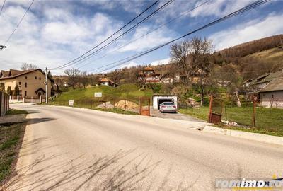 FILM! Pe 6.500mp teren + casa parinteasca, incantatoare pozitionare, acces facil - 13