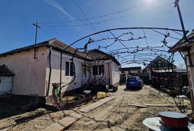 Casă cu 3 camere cu Teren 2230 Mp în Săbolciu - 15