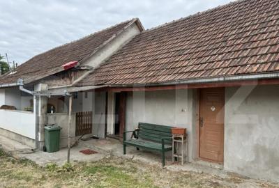 Casă cu 3 camere cu Teren 2400 Mp în Livada - 4