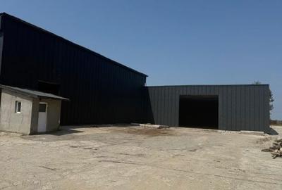 Spațiu comercial, de 1,500 mp, în Pielești - 5