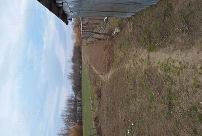 Vand casa in com.Poiana Mare,jud.Dolj - 2