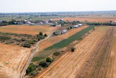 Vanzare teren intravilan 5,888 mp Sabareni / Strada sondei - 6