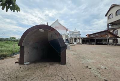 De vanzare proprietate unicat in Sascut - Bacau - 10