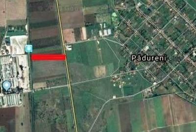 Teren Construcții intravilan de 30000 mp, în Pădureni (Jebel)