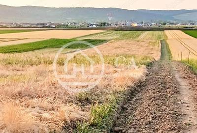 Teren intravilan de vanzare in Alparea, Bihor - 3