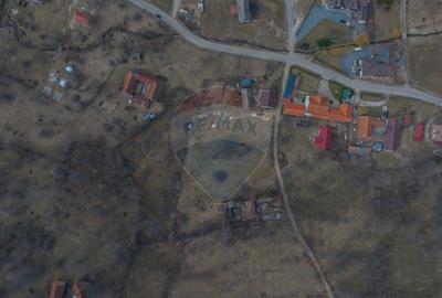 Teren 1,614mp Sohodol / Strada Inv. Ioan Puscariu - 7