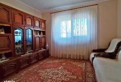 Casă cu 3 camere cu Teren 2826 Mp în Saca - 9