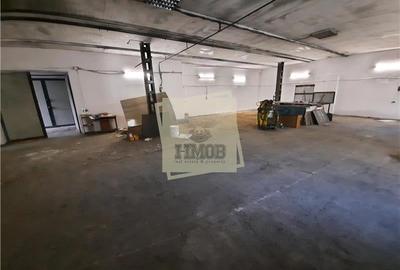 Hale de inchiriat cu suprafata intre 100-1700 mp in Cisnadie - 2