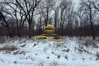 Teren extravilan de 2700 mp, în Berești-Bistrița - 2