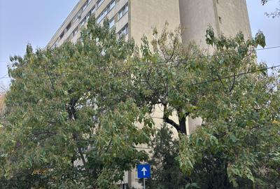 Vanzare 2 camere -Copaceni, Parc IOR, centrala termica de apartament - 5