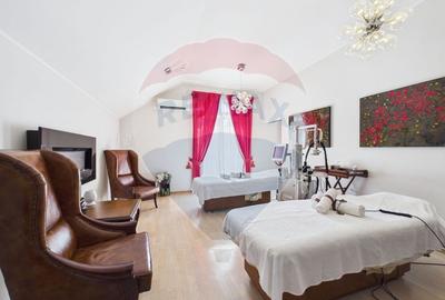 Proprietate specială, de 608 mp, în Mogoșoaia - 12