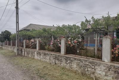 Casa in satul Zebil cu vedere superba spre lacul Babadag - 14