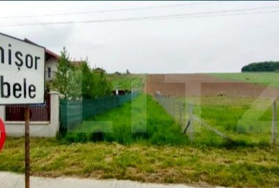 Teren de vanzare la intrarea in Sanisor Teren de vanzare la intrarea in Sanisor - 2