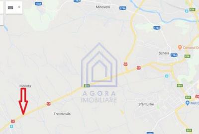 Teren 10.000 mp langa Weber si Vorona, DN E58 spre Gura Humo - 1