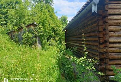 Cabana de vanzare in Lunca Bradului - 11