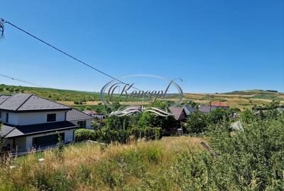 Teren cu proiect de casa in Chinteni - 3