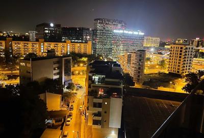 Apartament cu 2 camere semidecomandat în Grozăvești - 8