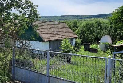 Casă cu 2 camere în Tioltiur - 1