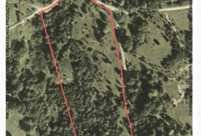 Teren de 28000 mp, în Central - 1