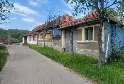 Casă cu 3 camere cu Teren 609 Mp în Uileacu de Beiuș - 12