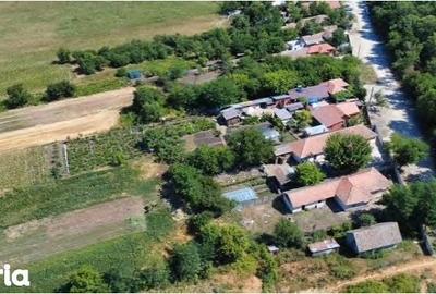 Casă cu 4 camere cu Teren 3500 Mp în Bârca - 1