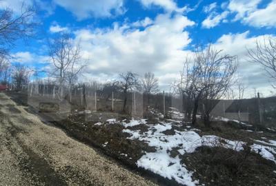 Teren în Păulești - 4