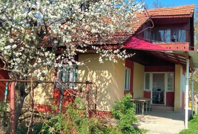 Casă cu 3 camere în Prisăcani - 5