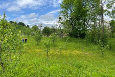 Teren de 4200 mp, în Ocina de Sus - 9