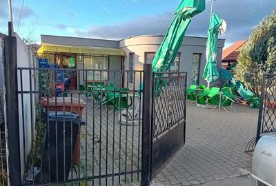 Casă cu 2 camere cu Teren 110 Mp în Teiu - 1