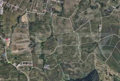 EXCLUSIVITATE! Teren intravilan, 2500 mp, utilitati, zona Co - 2