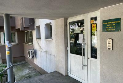 Militari, Iuliu Maniu, Piata Gorjului - 5