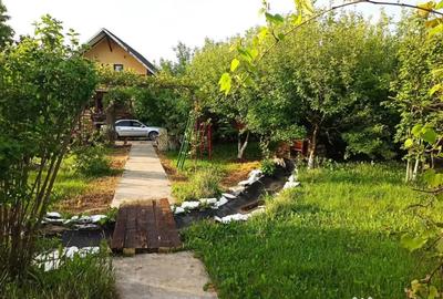Casă cu 3 camere cu Teren 2000 Mp în Mitocu Dragomirnei - 3