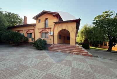 De vanzare Casa / Vila 5 camere + 16.000 mp teren Slobozia Moara, DB