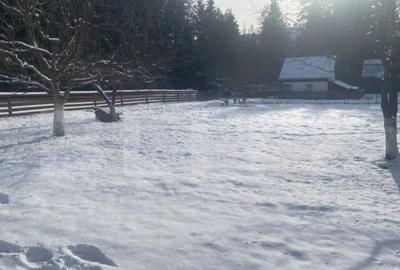 Casă cu 3 camere cu Teren 3450 Mp în Central - 12