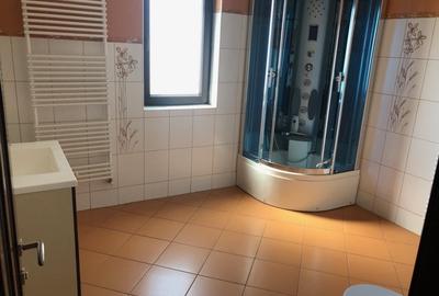 Vila deosebita, S+P+1E+M, teren 800 mp, Sos Oltenitei- Paraul Rece - 19