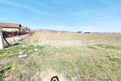 Teren 27.000 mp.deschidere la 2 drumuri ,75 euro mp. - 7