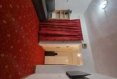 Apartament cu 2 camere semidecomandat în Ozana - 2