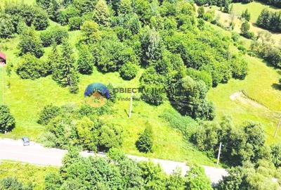 TEREN Izvoru Muntelui, langa orasul BICAZ - 6