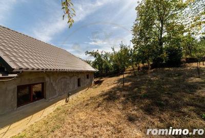 Casa cu 4 camere in Sat Bujoi, Comuna Boga?i+ Anexe + Teren 2693 mp - 6