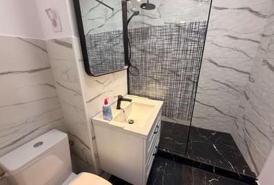 Apartament cu 3 camere decomandat în Titulescu - 12