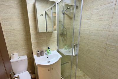 Apartament cu 2 camere decomandat, mobilat în Lujerului - 12