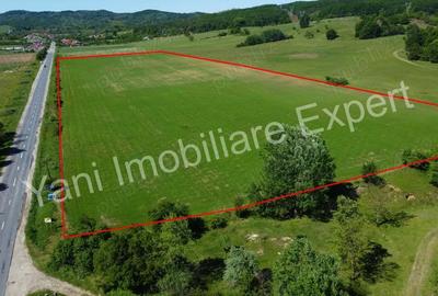 Teren de 69700 mp, în Tigveni - 3